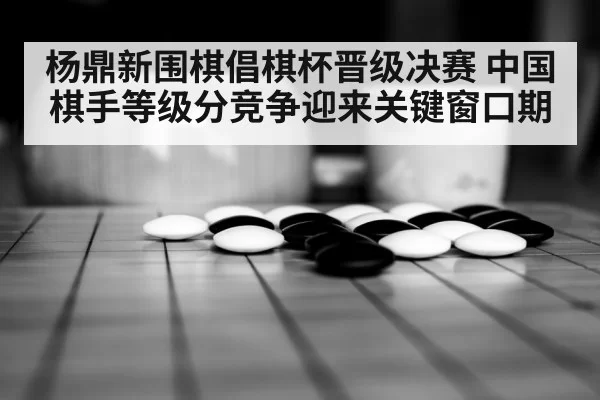 杨鼎新围棋倡棋杯晋级决赛 中国棋手等级分竞争迎来关键窗口期